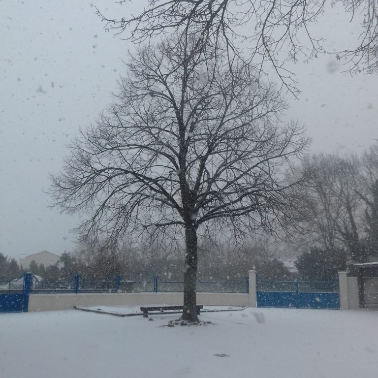 C'est L'hiver Qui Frappe à Notre Porte